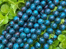 Top Quality Natural Chrysocolla Beads, 10mm/12mm round smooth natural