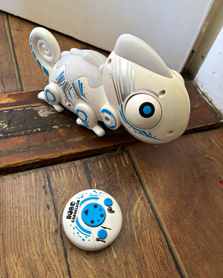 Roboter Chamäleon ferngesteuert mit Fernbedienung