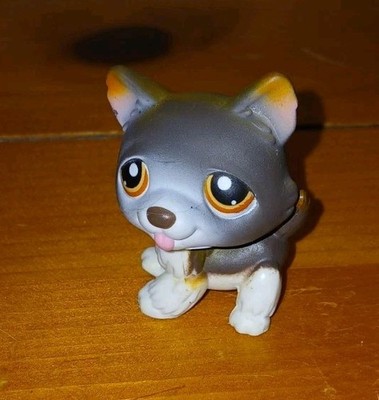Littlest Pet Shop #174 Brown/Grey Husky Figure 