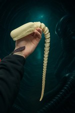 Alien Chestburster Articulated Model Fidget Toy Xenomorph Alien 3D Printed 55cm