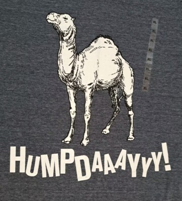 Hump Day Camel T-shirt Unisex Size XL Gray w/ Graphic Print Cotton Blend New 