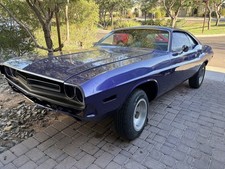 1971 Dodge Challenger for Sale