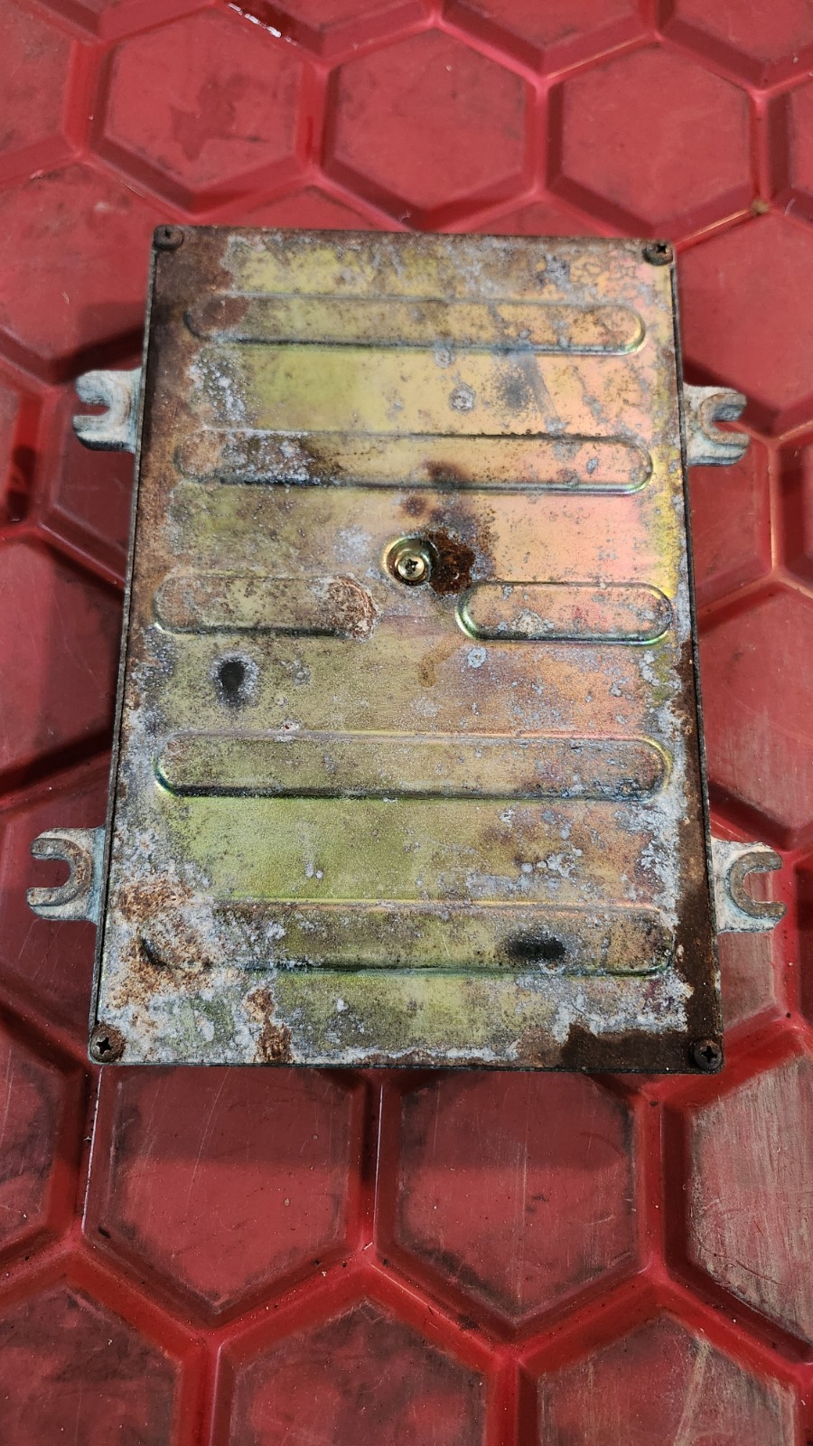 Picture 6 of 6