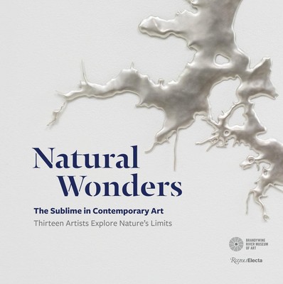 Natural Wonders: The Sublime in Contemporary Art: Thirteen Artists Explore Natur
