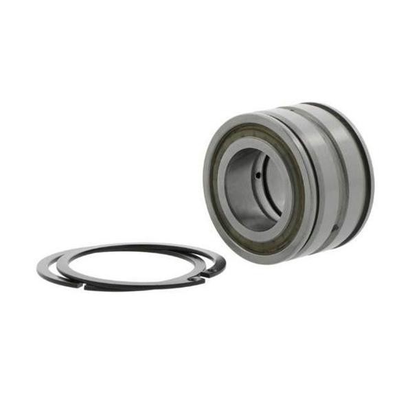 Ina Zylinderrollenlager SL04160 -D-PP-2NR Id 160Mm Ad 220Mm Breite80Mm 1St./Ve-image