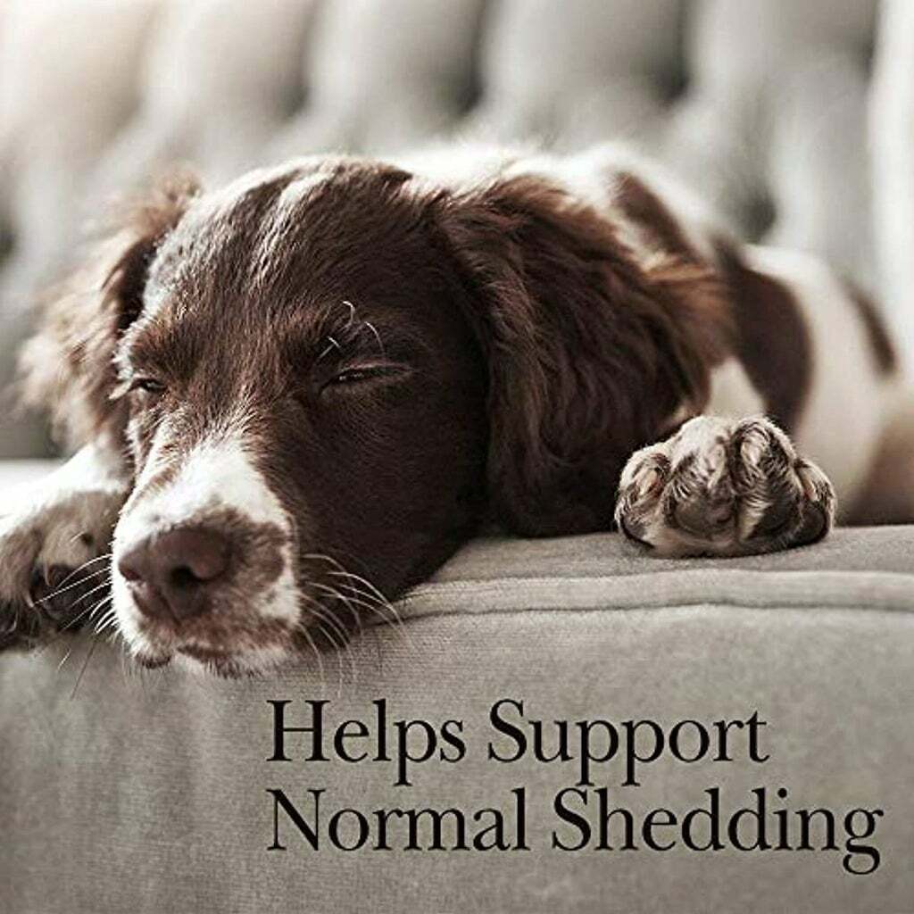 NutriVet Fish Oil Supplements for Dogs, Skin a& Coat Omega 3 (100 Soft gels) 669125704127 eBay