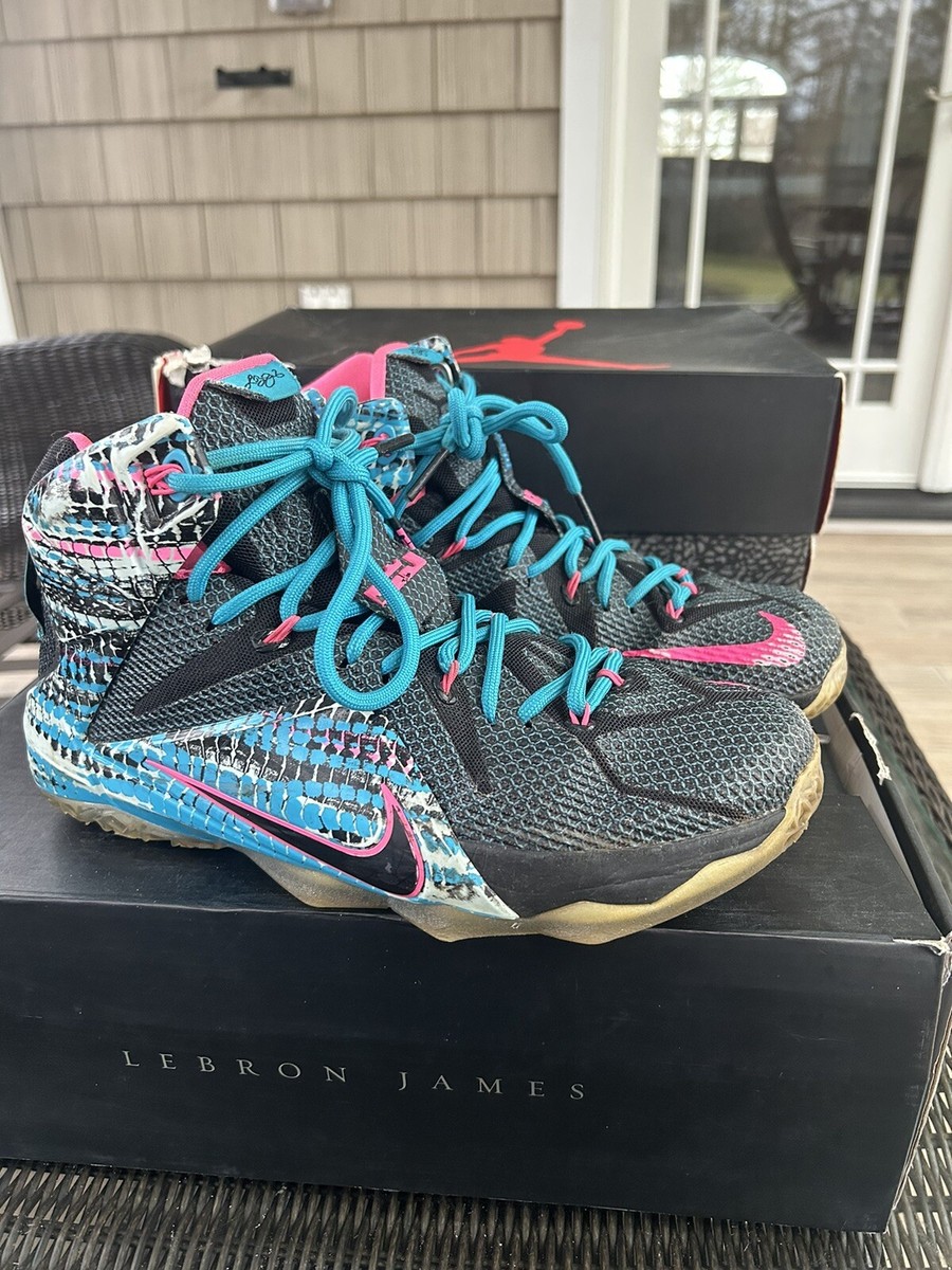 Size 8.5 - Nike LeBron 12 23 Chromosomes for sale online | eBay