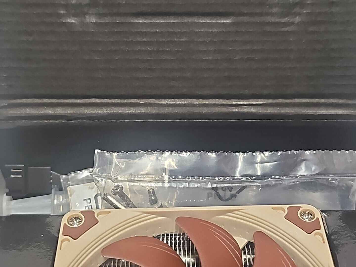 Picture 5 of 14