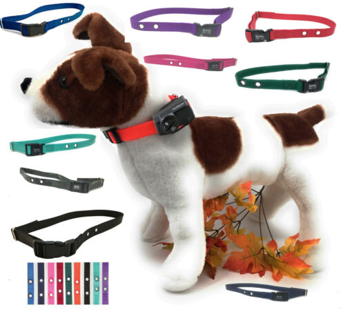  Electric Fence Nylon Replacement Dog Collar 2 Hole 1.25 Apart - 第 1/3 張圖片