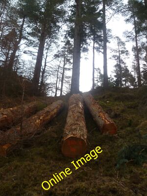 Foto 12x8 schnellster Holzfäller des Westens? Legburthwaite Der Name auf dem Log i c2013