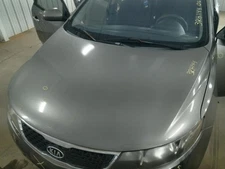 Hood Fits 10-13 FORTE 104918875