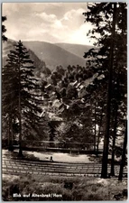 Altenbrak East Germany Harz Mountains Amphitheater View RPPC Postcard