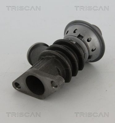 Triscan Agr-Ventil 8813 28100 FüR CitroËN Peugeot-image