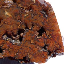 RimRock: 1.75 Lbs Rare, Old Time POWELL BUTTE PLUME AGATE Faced Rough