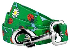 Country Brook Petz 4 Foot Dog Leash - Summer Breeze Collection