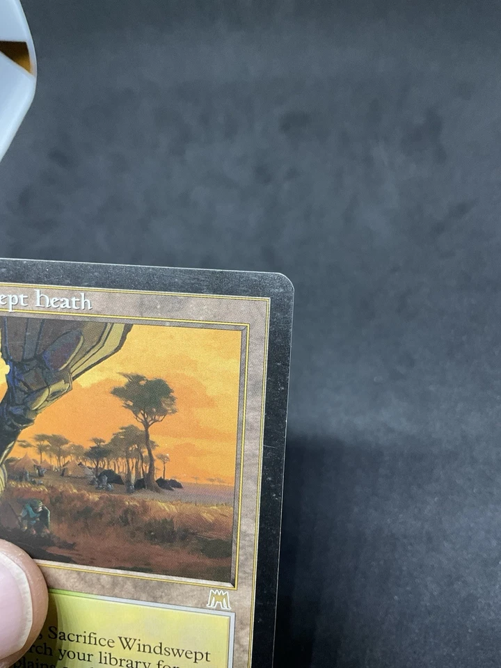 Windswept Heath Onslaught Regular MTG 328 MP - Image 2 of 4