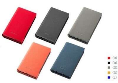 Estuche blando original para Sony Walkman serie NW-A100 CKS-NWA100