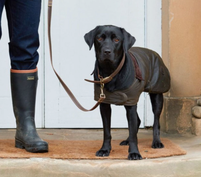 BARBOUR Matt Waxed Cotton Dog Coat MSRP$110 in Olive British