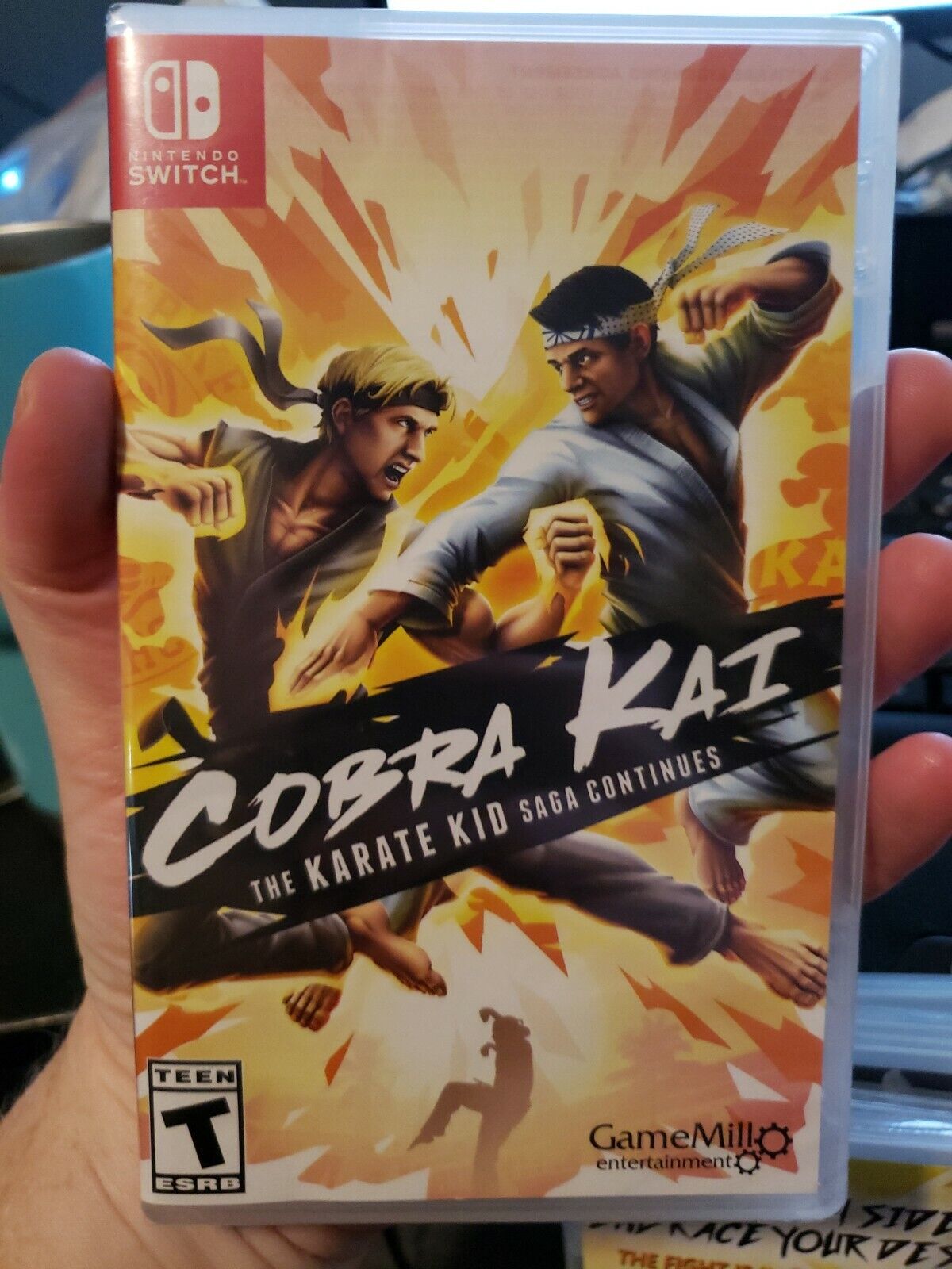 Cobra Kai Karate Kid Saga - Nintendo Switch