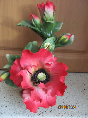 Capodimonte große Blüte (Mohnblüte ?)