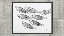 Estampe originale d'un banc de vieilles , Gyotaku original de vieilles encadré