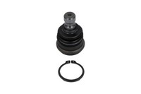 Kavo Parts Traggelenk FüHrungsgelenk Vorne FüR KIA Sorento II Hyundai Santa Fé