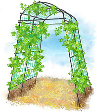 Garden Arch Trellis for Climbing Plants Outdoor, 7 Ft Tall Squash Tunnel