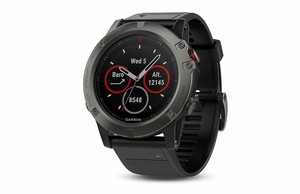 Garmin Fenix 5S Sapphire Edition 42mm GPS Watch - Black 753759172107 | eBay