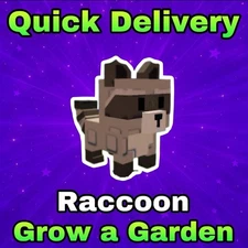 🦝 Raccoon | 🌴 Grow A Garden 🌴 | Fast Delivery | Very Cheap!