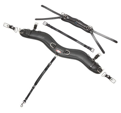 Zilco Empathy Brustblatt Set Cob