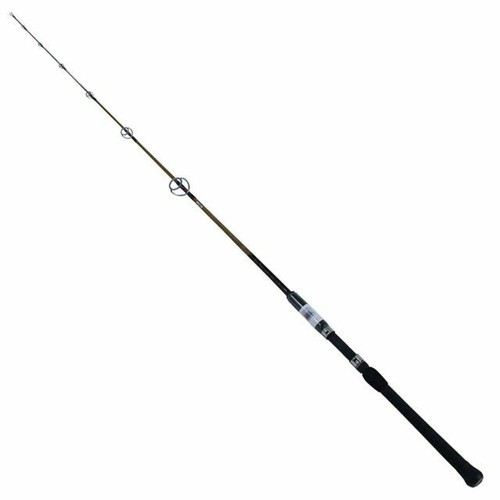 Ugly Stik Bigwater Spinning Fishing Rod 15' - Heavy - 30-50lb - 2pc New  Model | eBay