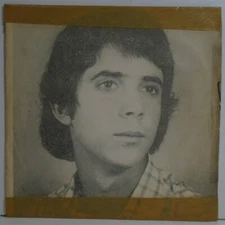 IVO ROSA AURI-VERDE NESTA HORA PORCA TORCE RABO BRAZIL 1975 GARAGE FREAKBEAT 7"