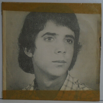 IVO ROSA AURI-VERDE NESTA HORA PORCA TORCE RABO BRAZIL 1975 GARAGE FREAKBEAT 7''