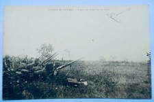 Infantry Shooting At A Pigeon
