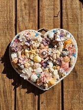 Sea Shell Heart Wall Art Coquina Flowers Swarovski Crystal's Handmade New