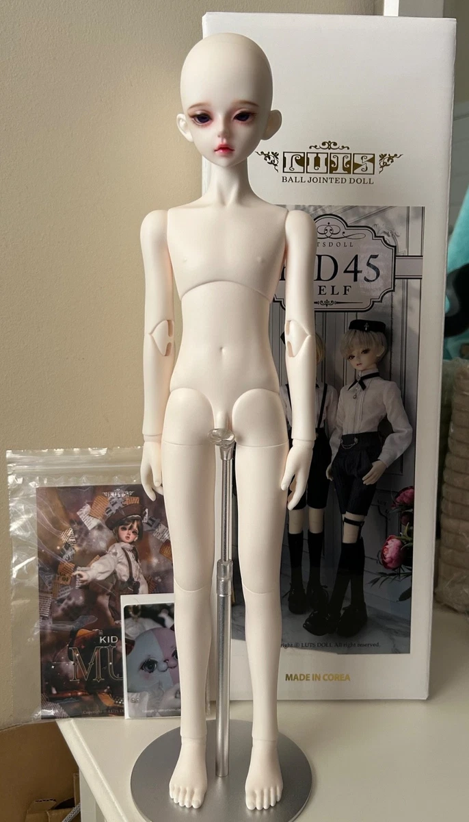 LUTS/ZUZU delf/LIO The PirAte Limited A 24 07 31 1133 TN ZU