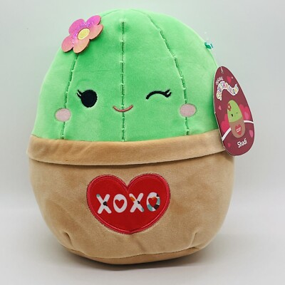 Squishmallows Shadi the Cactus Plant Valentine XOXO Succulent 8 Pillow  Plush | eBay