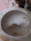 Bild 22 von 22