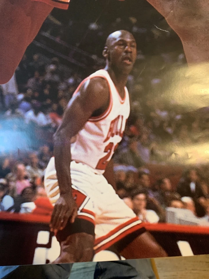 Póster de pared Dennis Rodman NBA STARLINE Chicago Bulls 1996 Michael Jordan B Foto 4 de 4