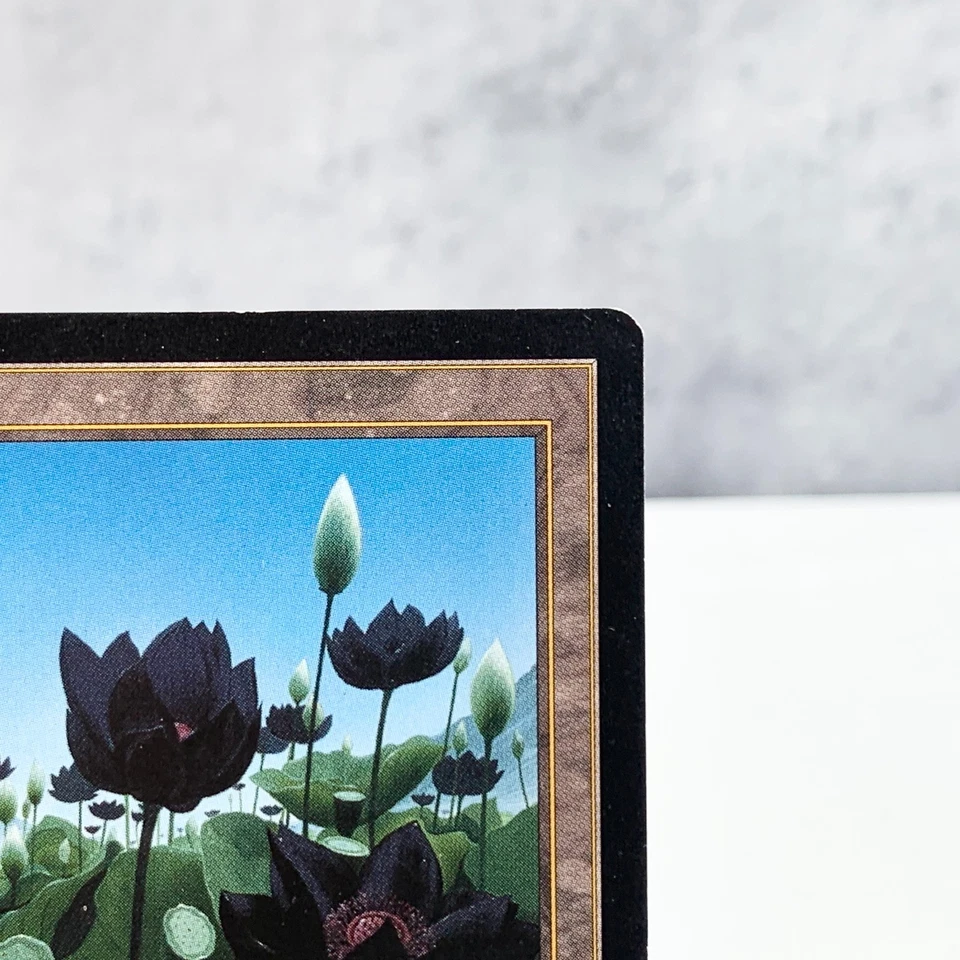 MTG Lotus Vale Weatherlight Chinese Traditional Rare Land John Avon 1997 Japan - Image 3 of 4