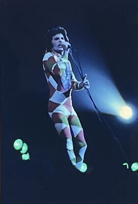 Photo De Transparence Originale De Freddie Mercury Sur Scène Circa Années 1970 - Photo 1/4