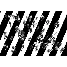 Giant Art 72x48 Find Me... Fine Art Giant Canvas Print in Multi-Color