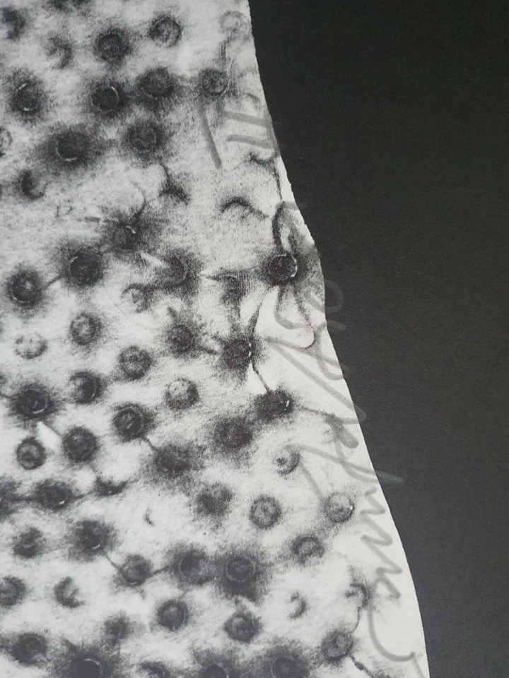 Günther Uecker handsigniert nummeriert Permutation 2 aus 1996 - Bild 3 von 3