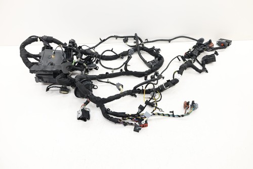 2021 - 2025 FORD F-150 ENGINE WIRE WIRING HARNESS OEM NL3T12A581BCF