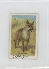 1923 ITC of Canada Birds Beasts and Fishes Tobacco The Wolf #40 0l4h