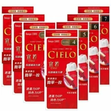 [HOYU] 宣若 CIELO EX One Push Cream Hair Easy & Quick Dye Color Dying Kit