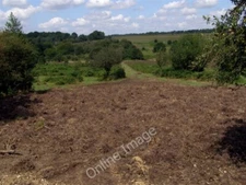 Photo 6x4 Howen Bottom from Powder Mill Road, New Forest Fritham Looking  c2009