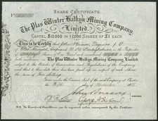 Plas Winter Halkyn Mining Co Ltd., &pound;1 Aktien, 1888