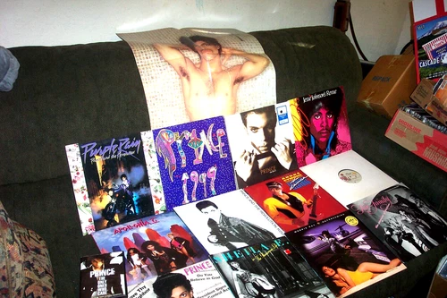 PRINCE & FAMILY 12  LP, EP LOT SHEILA E, JESSE JOHNSON THE TIME APPOLONIA 6 +DVD