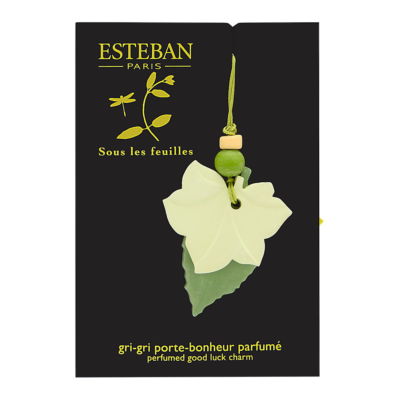 Esteben Sous Les Feulles Scented Bouquet Haute Couture Diffuser 8.3 oz Brand New
